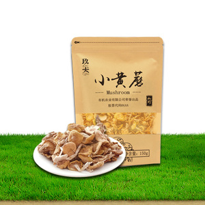 玖夫小黄蘑